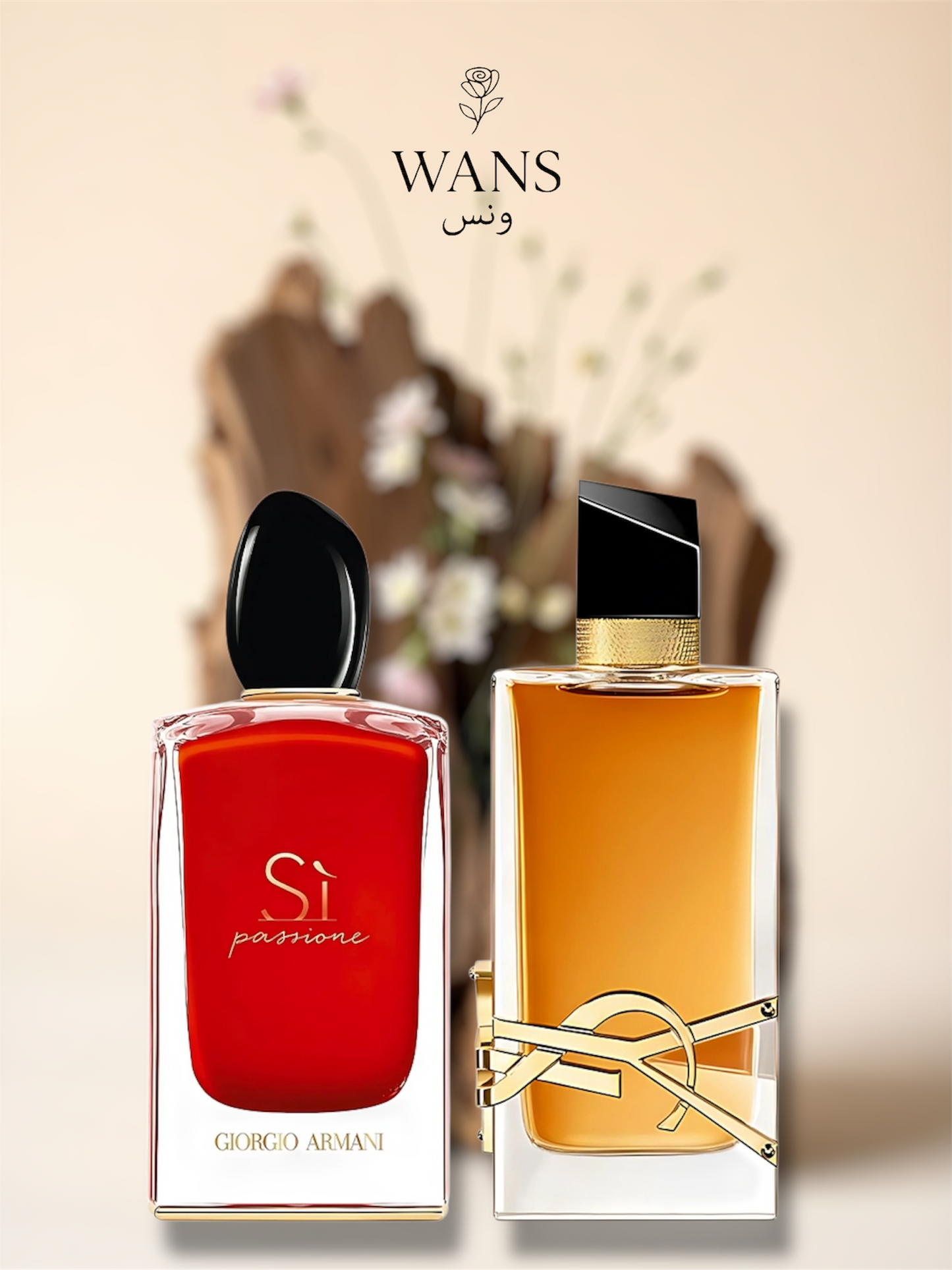 بوكس الجاذبية